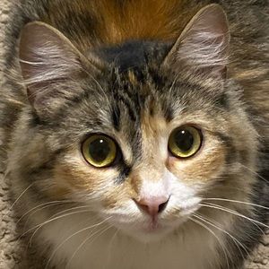 Meet your Posher, Brenda